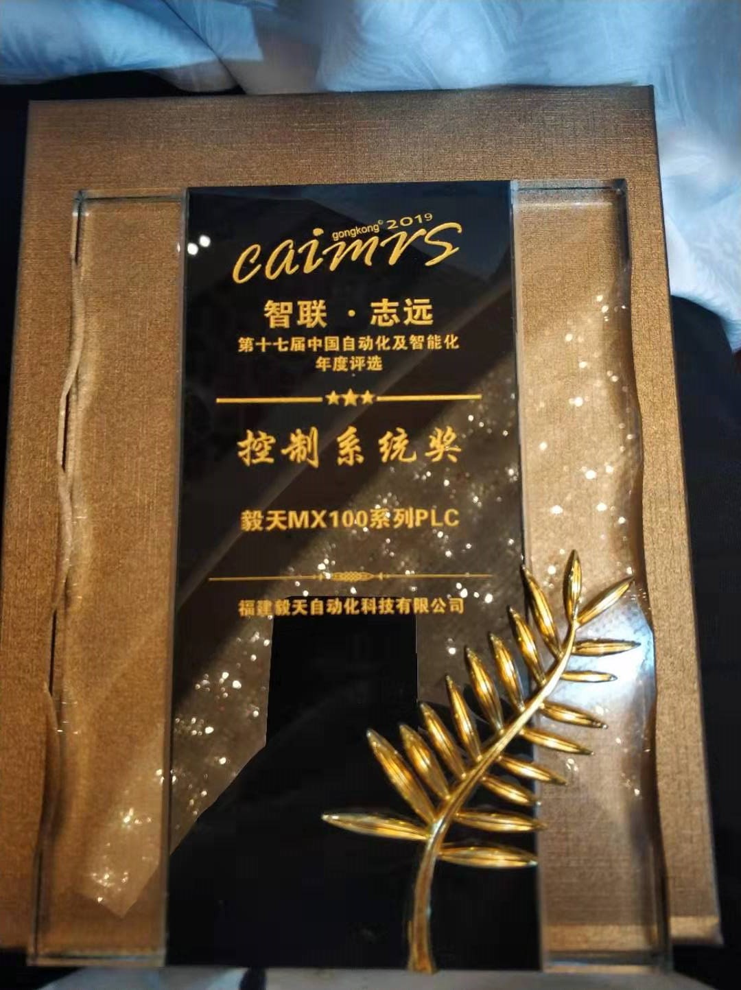 5c91eb3471183.jpg 獎牌.jpg